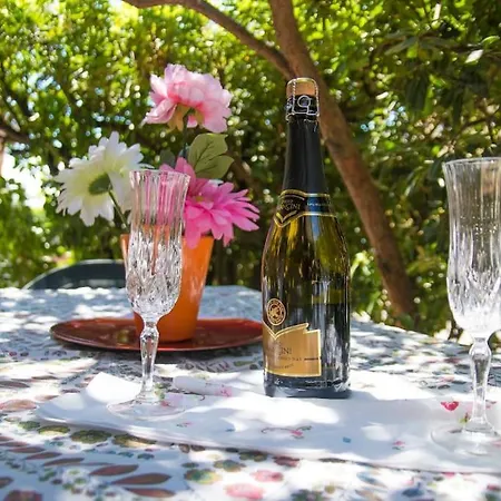 5 Minutes From The Seafront -apartment&garden Apartment